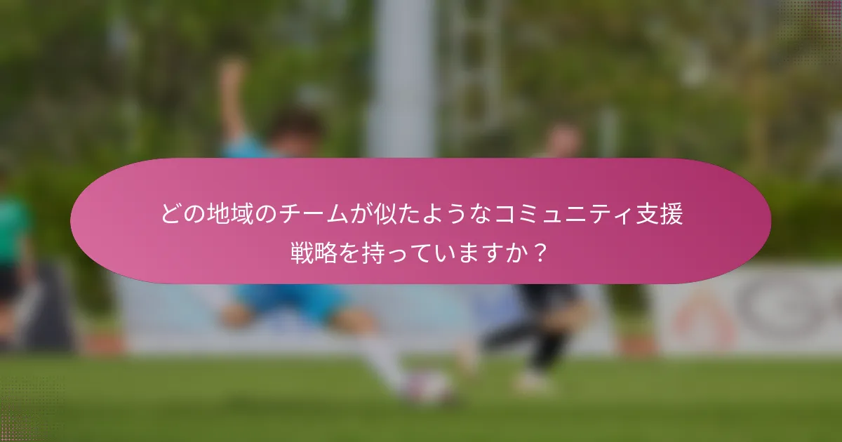 どの地域のチームが似たようなコミュニティ支援戦略を持っていますか？