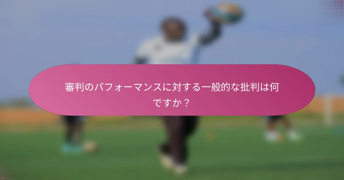 審判のパフォーマンスに対する一般的な批判は何ですか？
