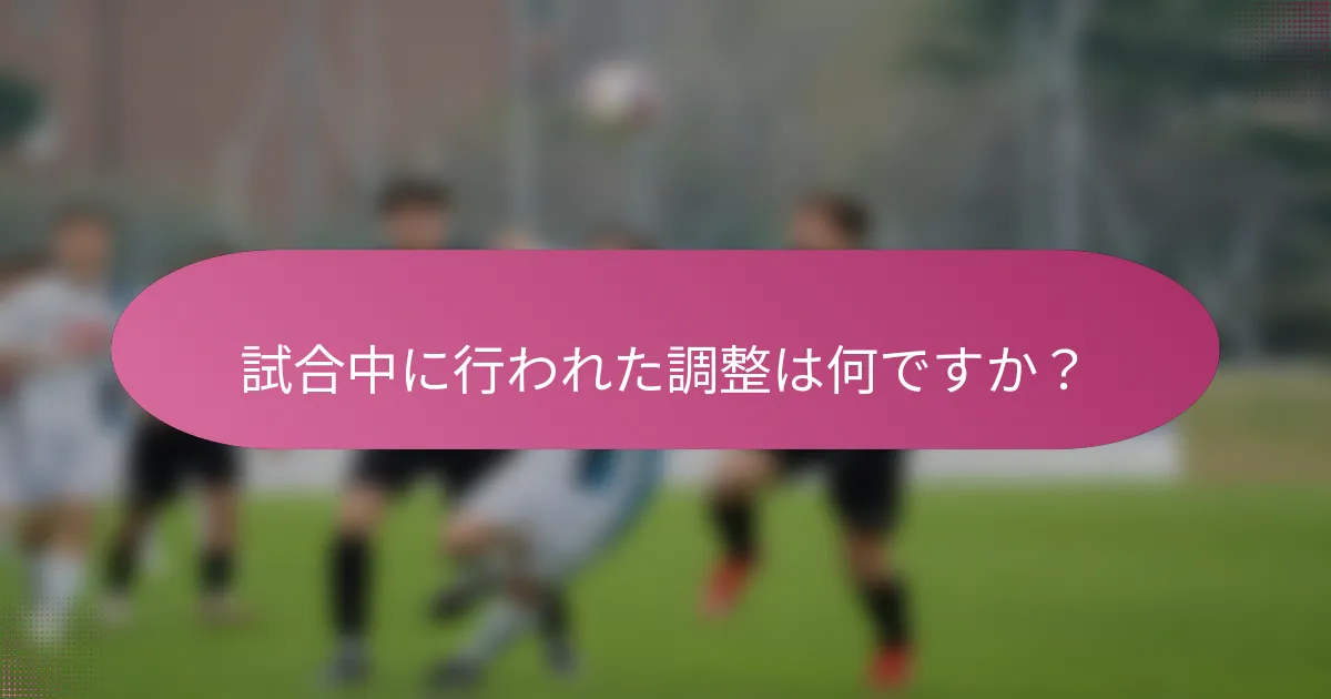 試合中に行われた調整は何ですか？