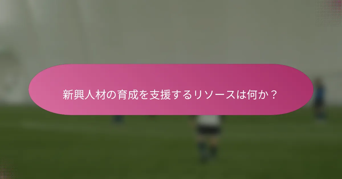 新興人材の育成を支援するリソースは何か?
